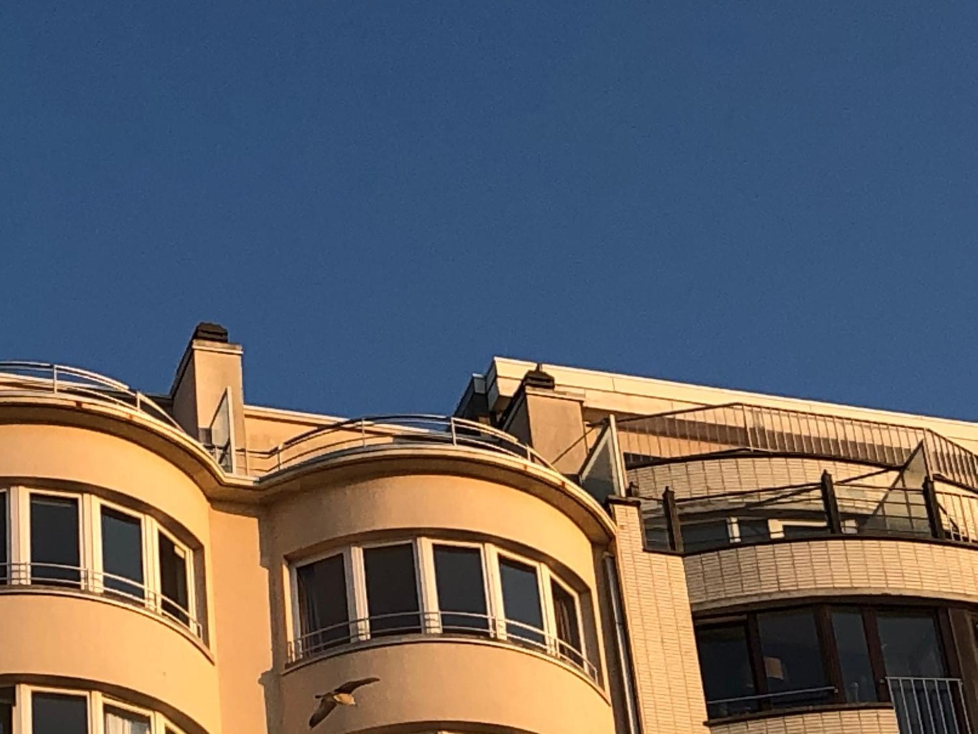 El Mirador Penthouse Paris Apartment Oostende Ngoại thất bức ảnh